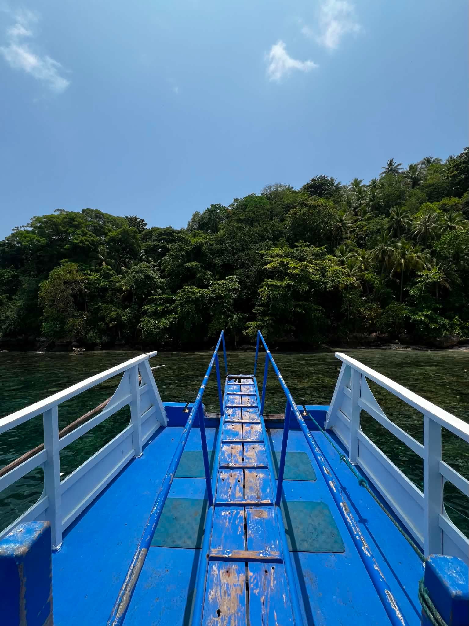 Tropical coastal shoreline and island water