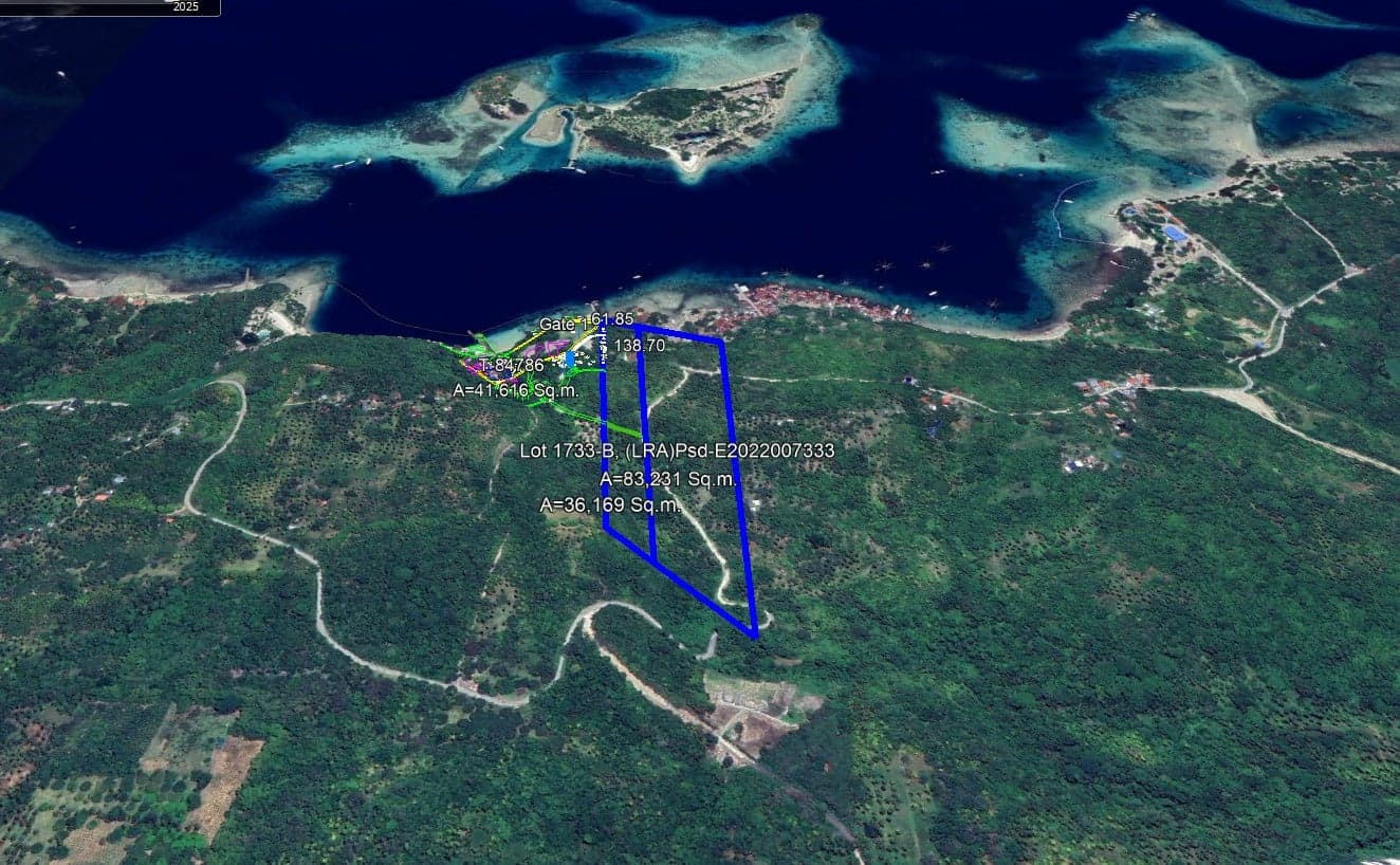 Brgy. Adecor property site view