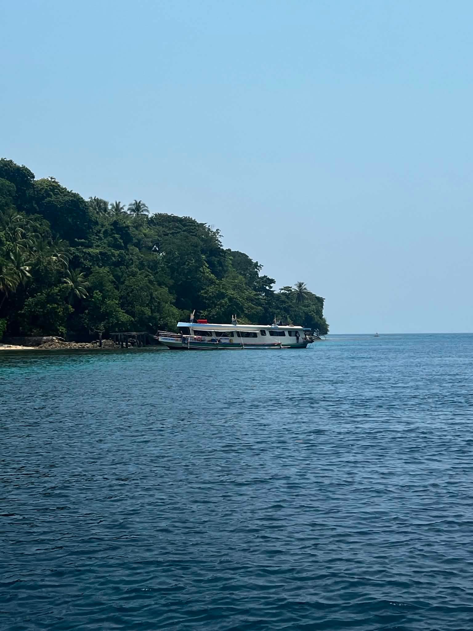 Coastal boats and tropical island shoreline